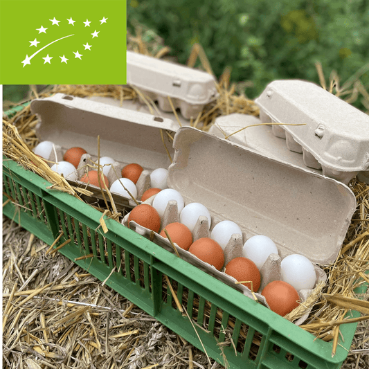 Jajka ekologiczne 90 sztuk