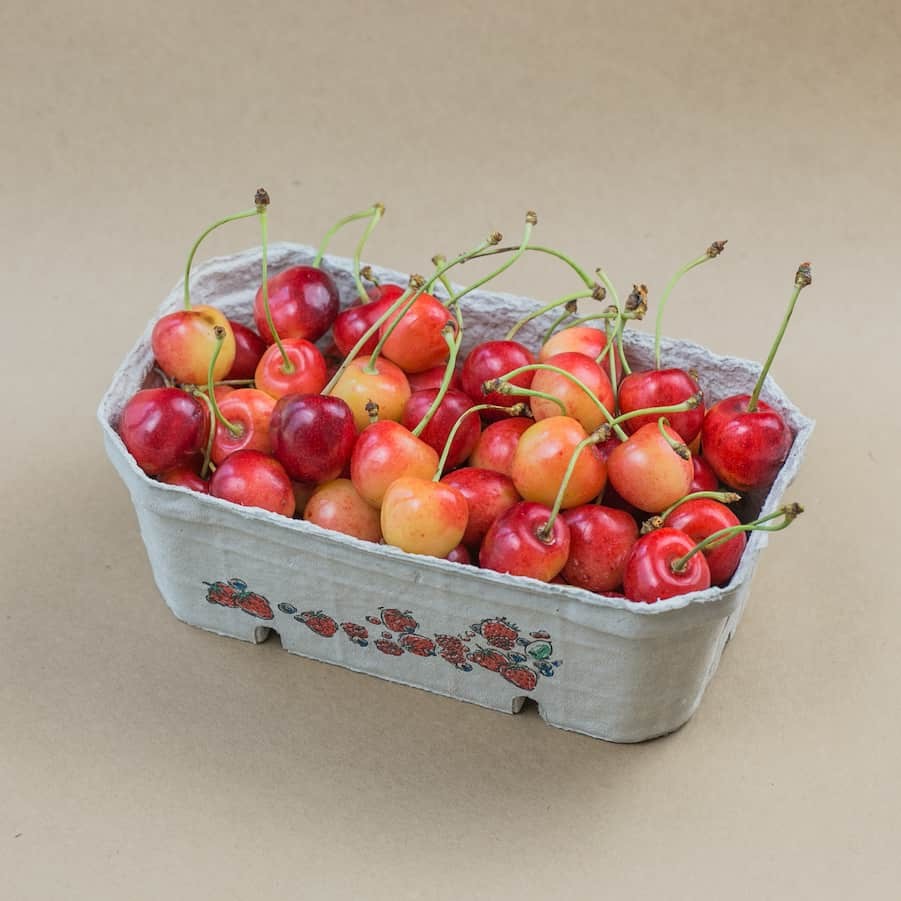 CZEREŚNIA POZNAŃSKA EKO 0,5KG - "EKO-OWOC"